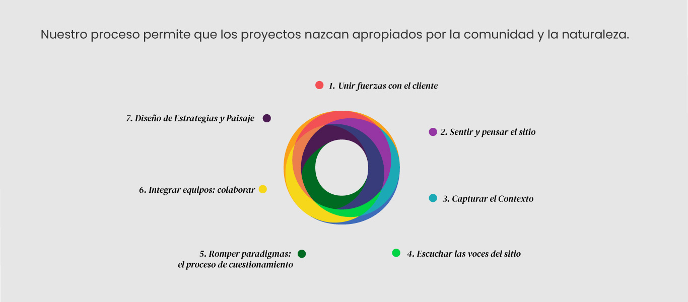 Proceso Ecotono